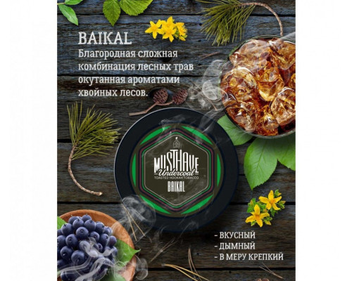 Табак Must Have Baikal 25 гр.