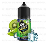 Ароматизатор Husky Double Ice - Chilly Kiwi 14 мл