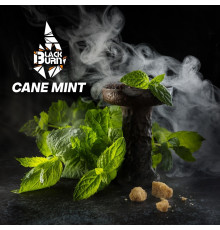 Табак Burn BLACK Cane Mint (Тросниковая мята), 100 г