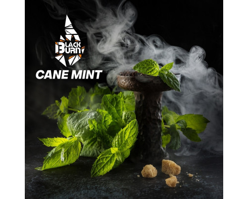 Табак Burn BLACK Cane Mint (Тросниковая мята), 100 г