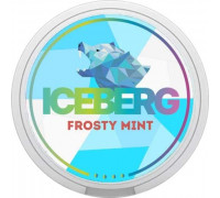 Жевательная смесь Iceberg Strong - Frosty Mint 0,075