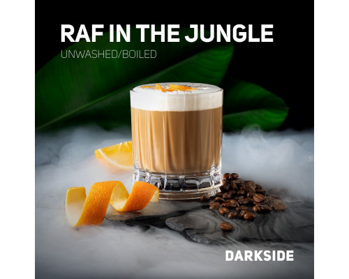 Табак Dark Side Raf In the Jungle C 100 гр.