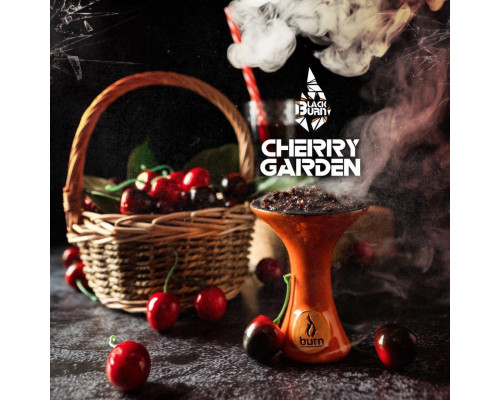 Табак Burn BLACK Cherry garden (Вишнево черешневый сок) 100 г