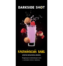 Табак Dark Side Shot Каспийский вайб, 120 гр.