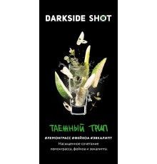 Табак Dark Side Shot Таёжный трип, 30 гр.