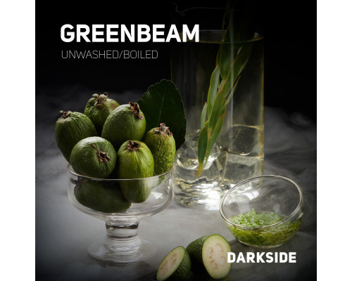 Табак Dark Side Green beam R 100 гр.